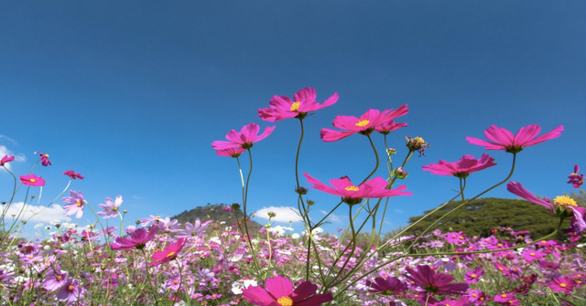 Cemre düşme tarihleri 2026