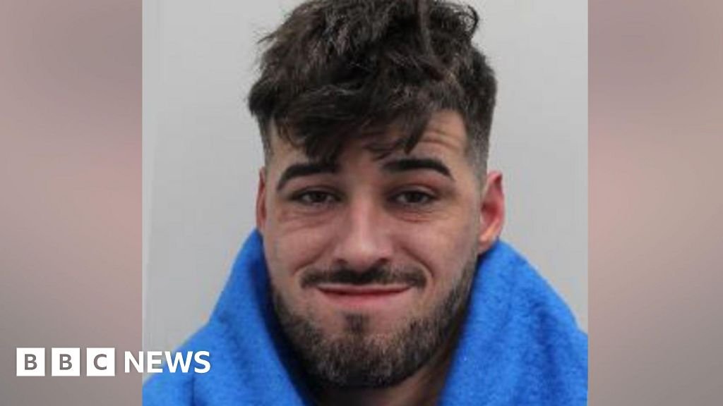 Driver jailed for life over deadly Christmas Day rampage in London's West End