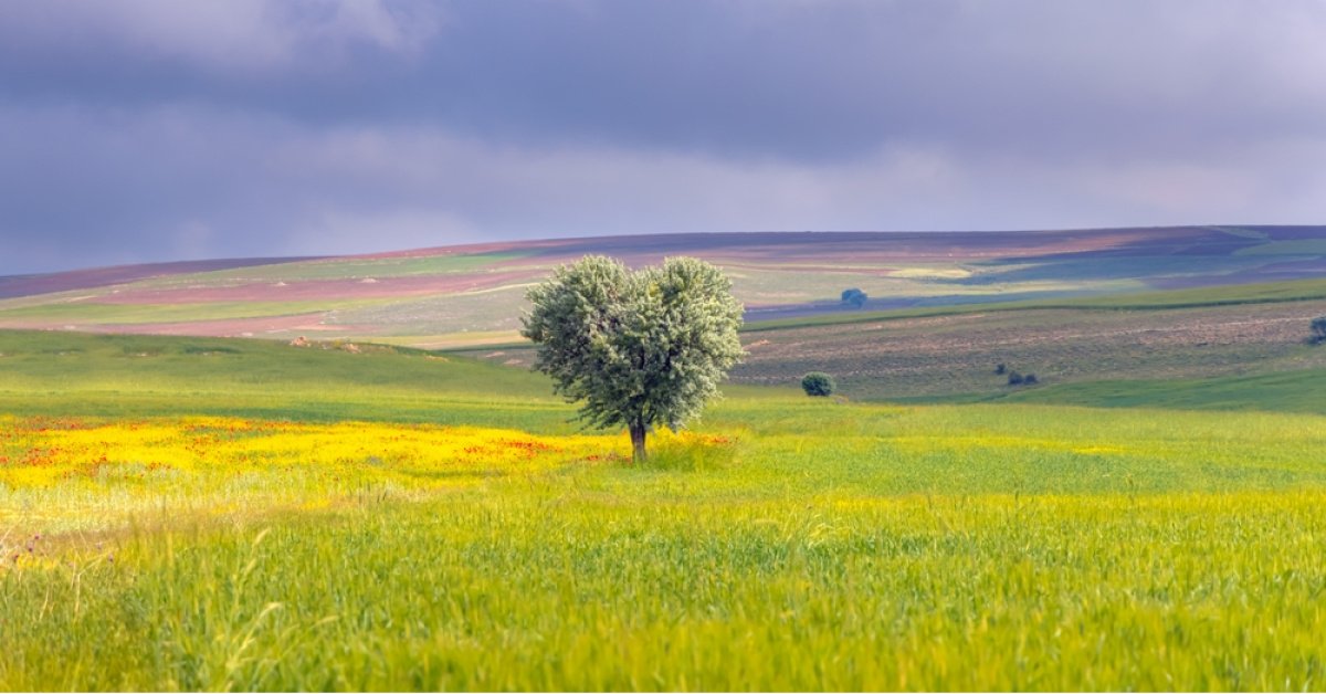 TOKİ 29 ilde 243 arsa satışı ne zaman nerede yapılacak, ödeme planı nasıl, arsa niteliği nedir?