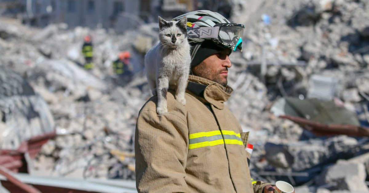 Enkazdan çıkararak sahiplendiği kedi ile dostluğunu kitaplaştırdı
