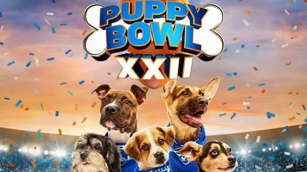 Puppy Bowl 2026 features Bad Bunny, Josh Allen-inspired pups