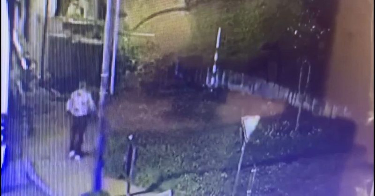 Öldürdü, kontrol etmeye gitti! | Son dakika haberleri