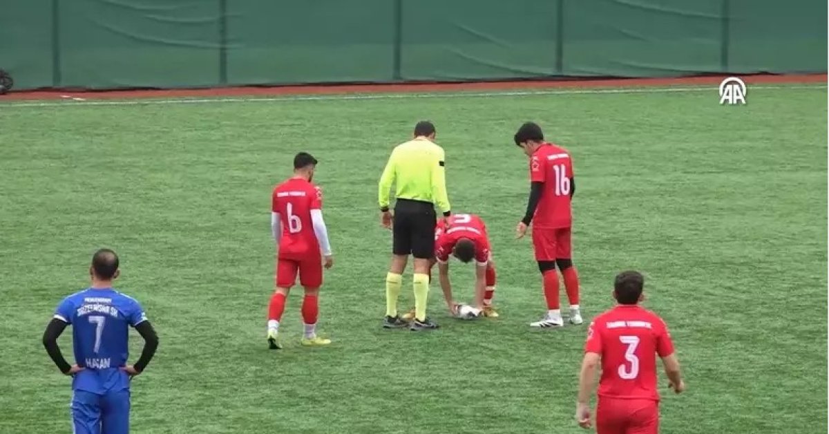 Topun çarptığı martının akıbeti belli oldu