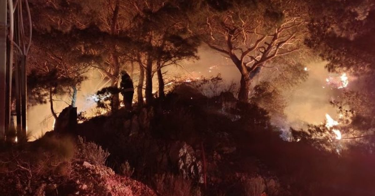 Bodrum’da ormanda çıkan yangın söndürüldü
