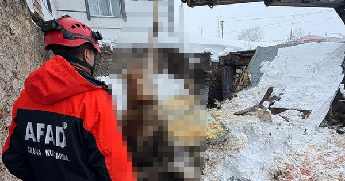 Kars’ta kar kütlesi iki ahırı çökertti: 4 büyükbaş öldü