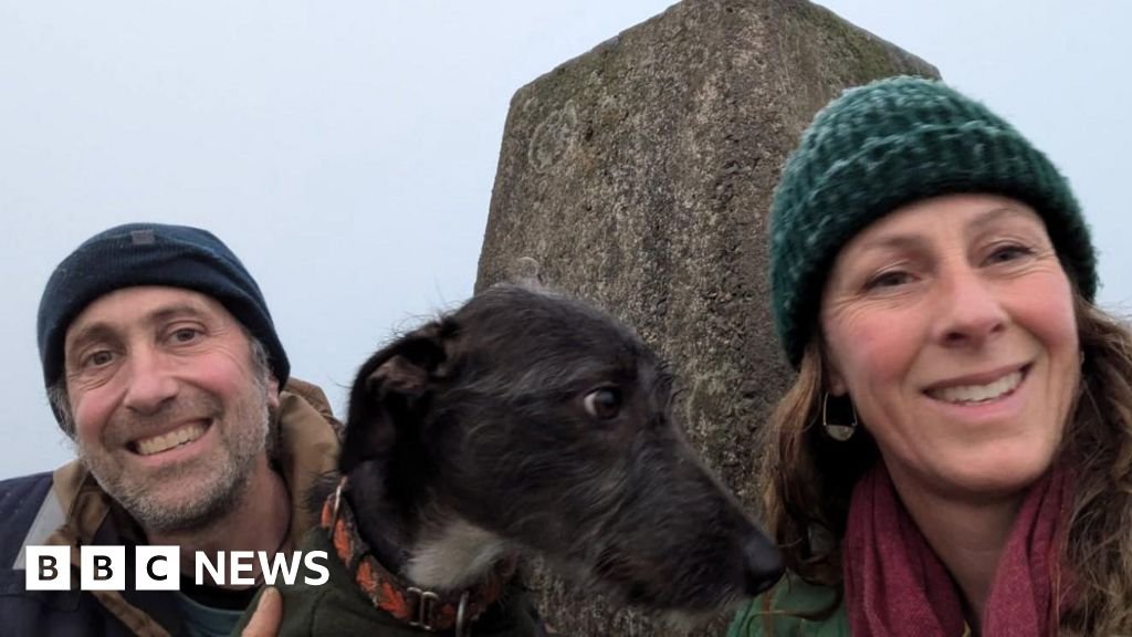 We traded our London terraced home for an 80-acre nature reserve in Wales