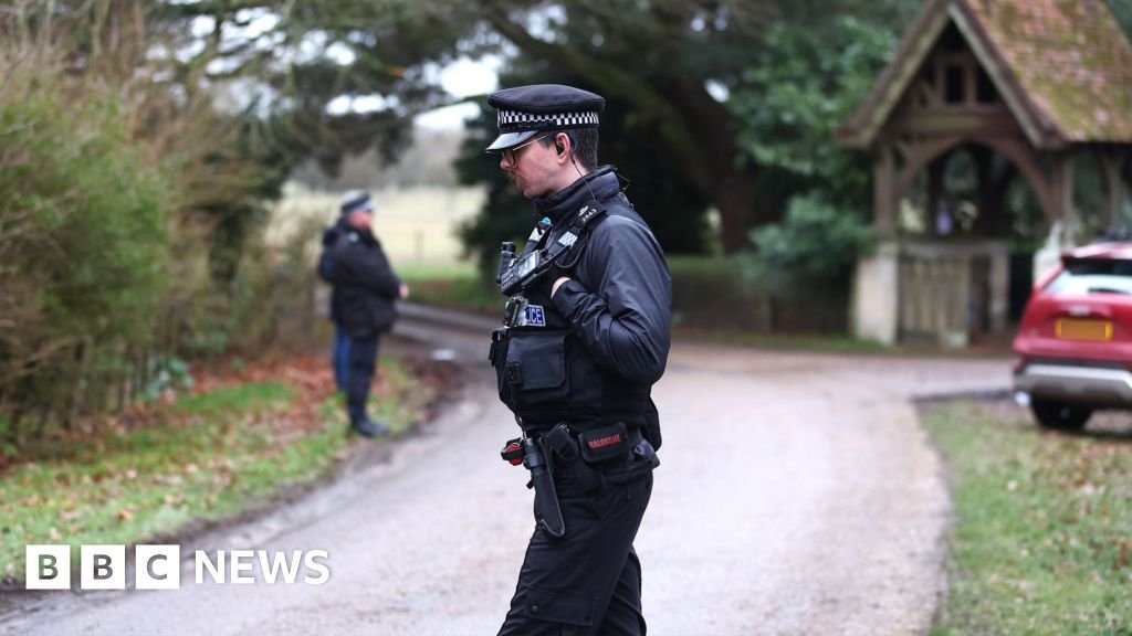 Epstein files could be just tip of the iceberg for Andrew investigation