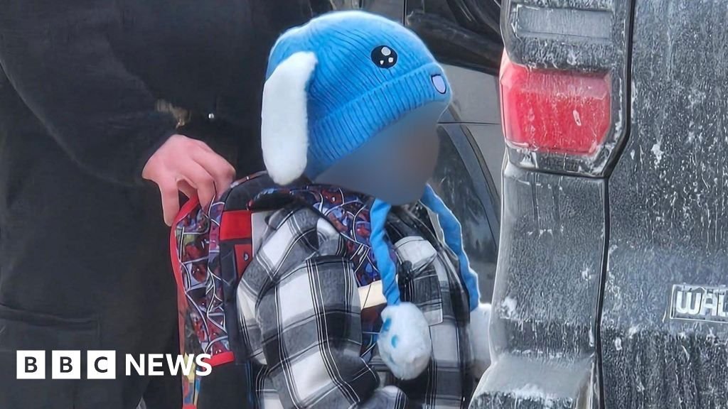 Judge orders release of five-year-old detained by ICE in Minneapolis