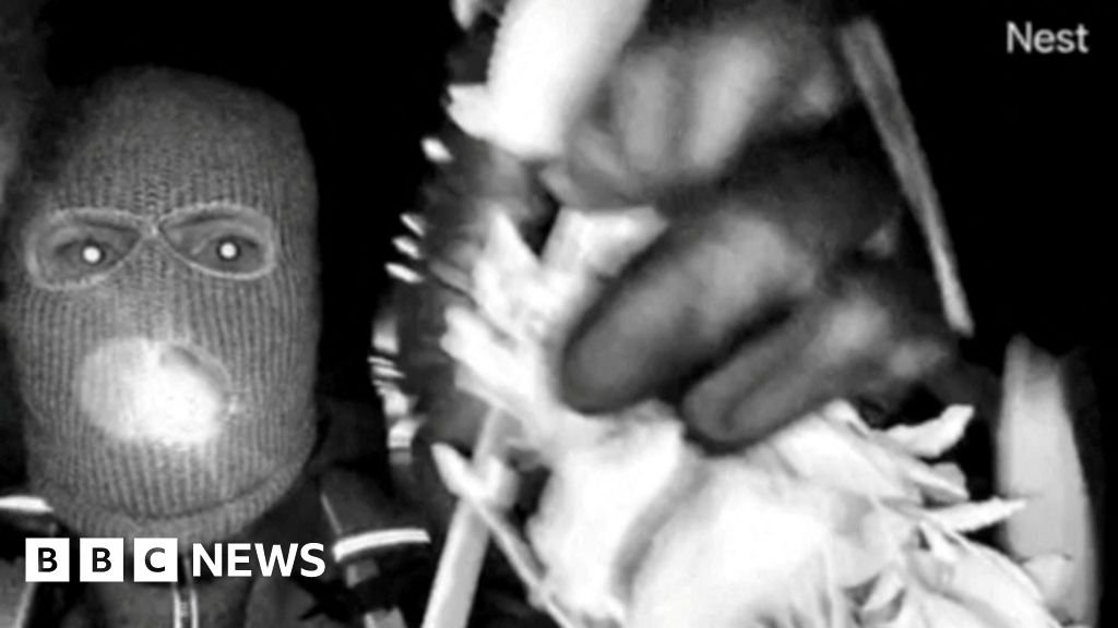 FBI releases description of suspect in Nancy Guthrie kidnapping